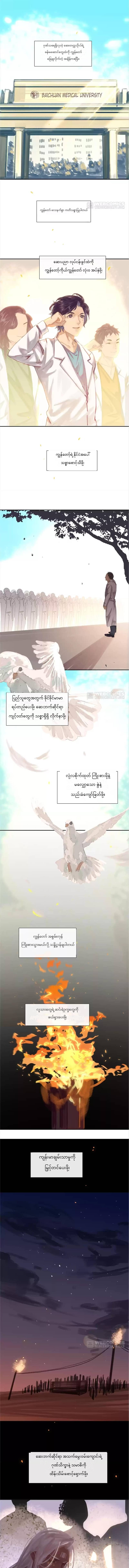 Chapter panel 1