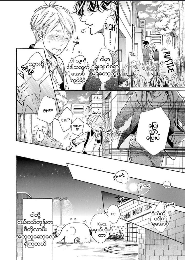 Chapter panel 24