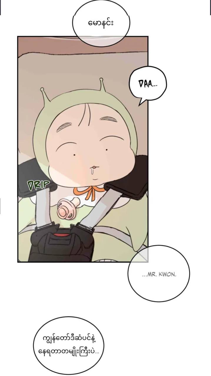 Chapter panel 4