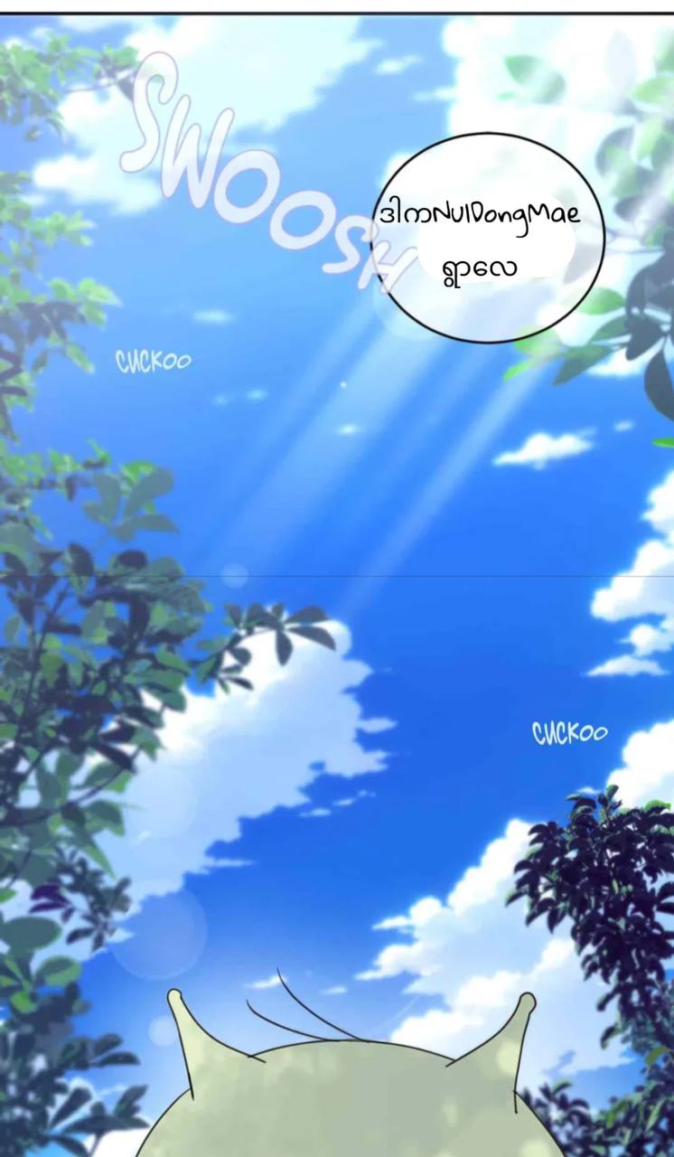 Chapter panel 33