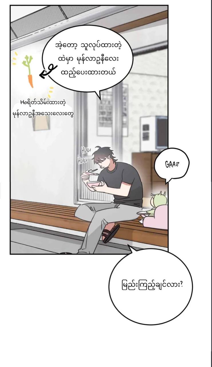 Chapter panel 15