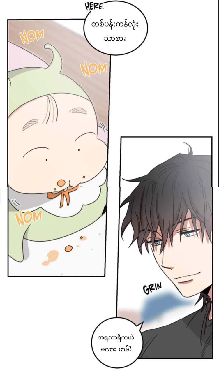 Chapter panel 20