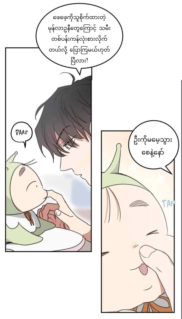Chapter panel 23