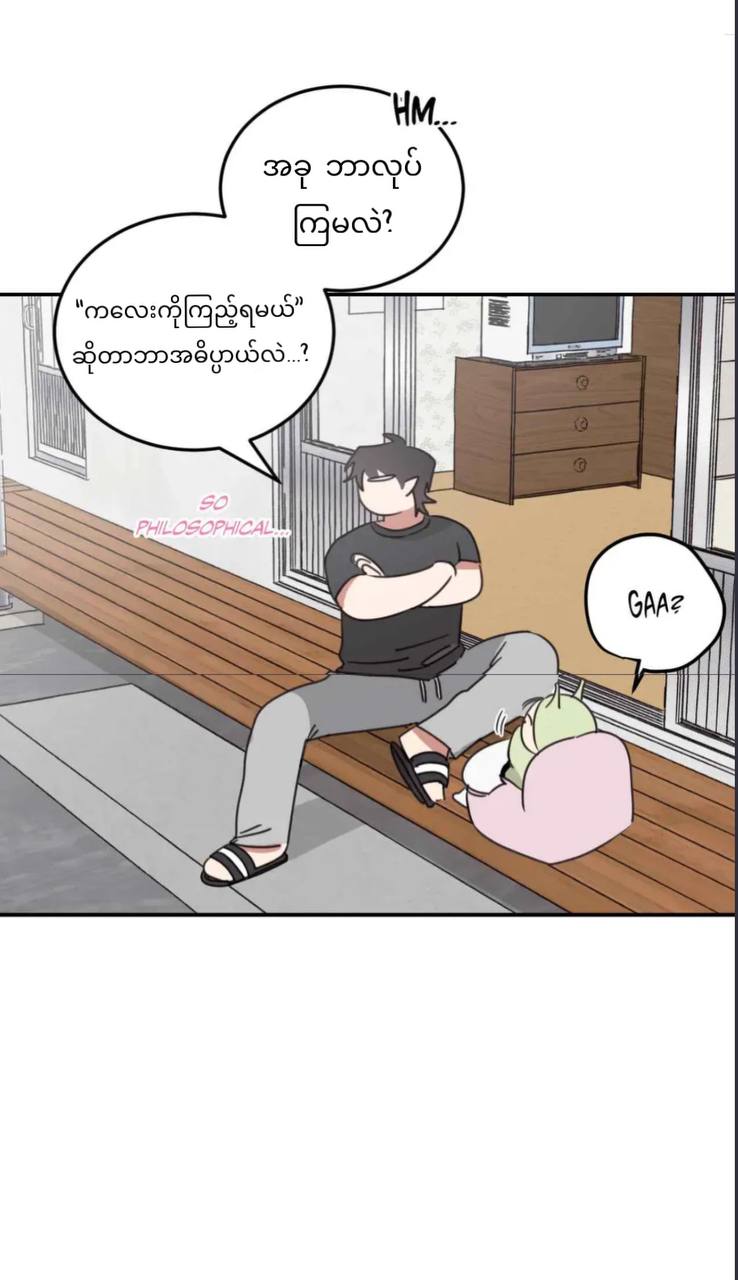 Chapter panel 24