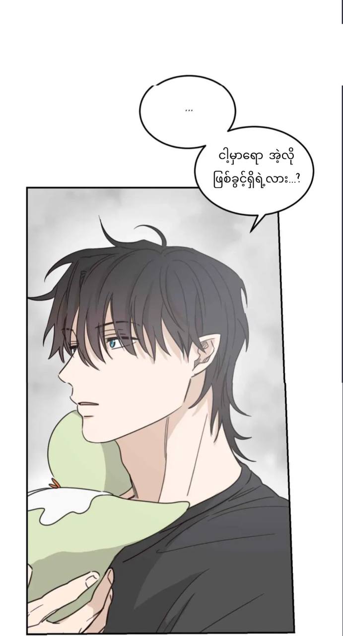 Chapter panel 51