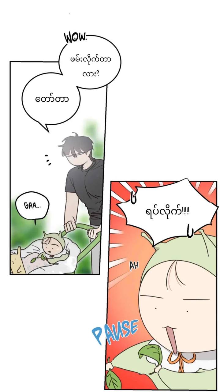 Chapter panel 36