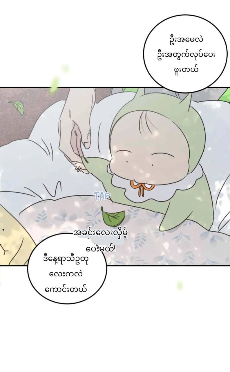 Chapter panel 31