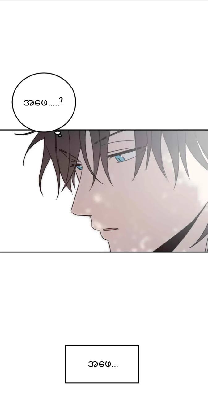 Chapter panel 47