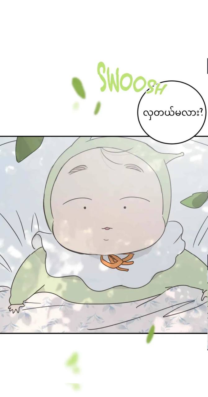 Chapter panel 32