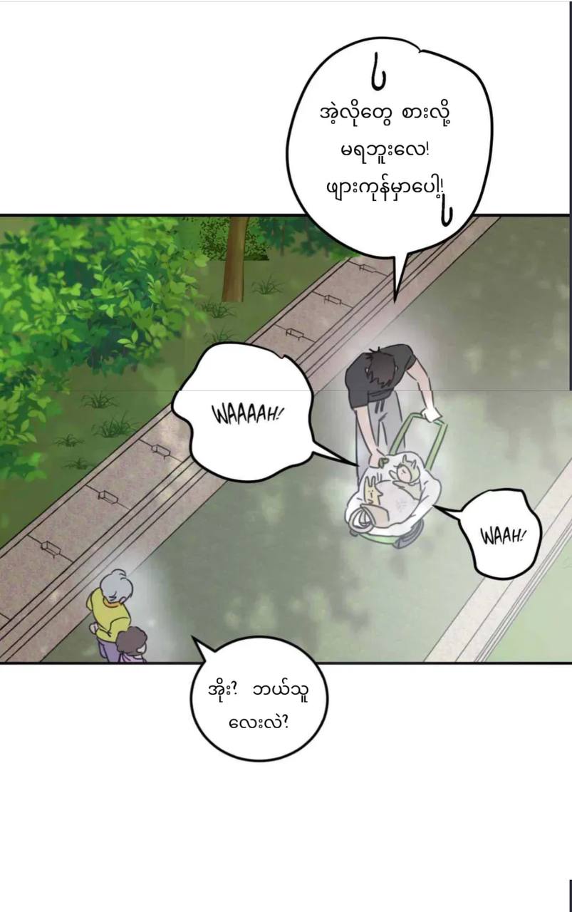 Chapter panel 37