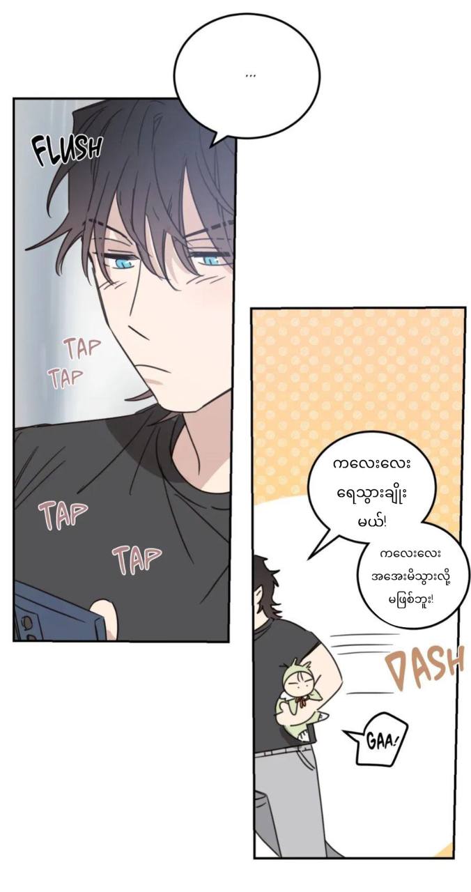 Chapter panel 37