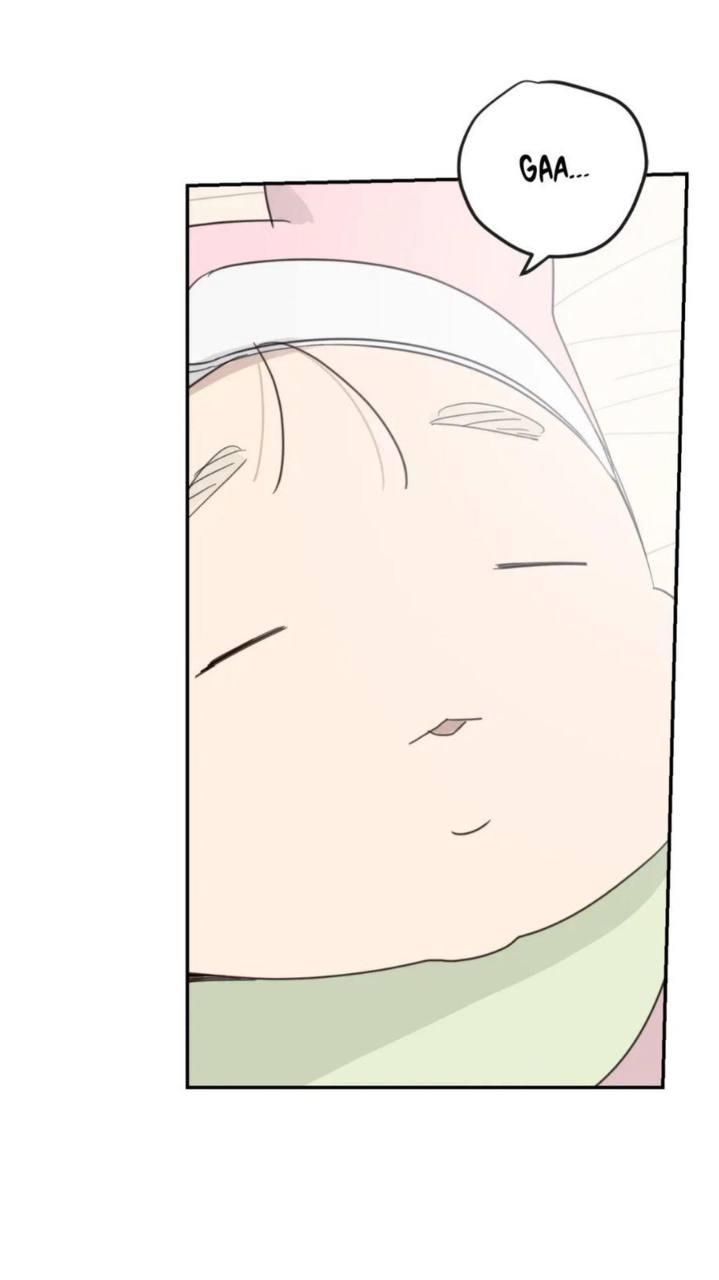 Chapter panel 52