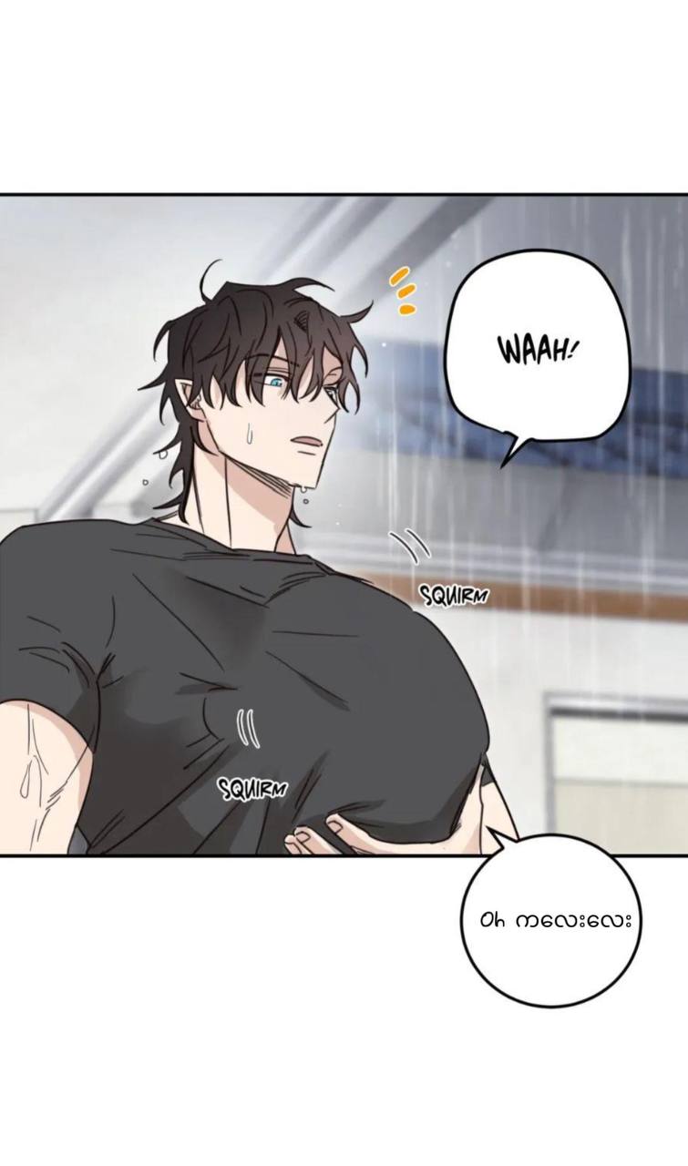 Chapter panel 30