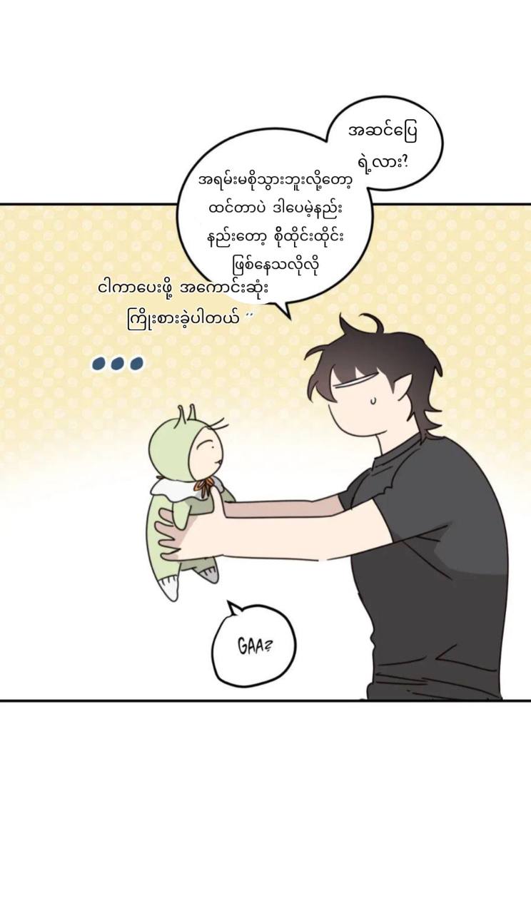 Chapter panel 33
