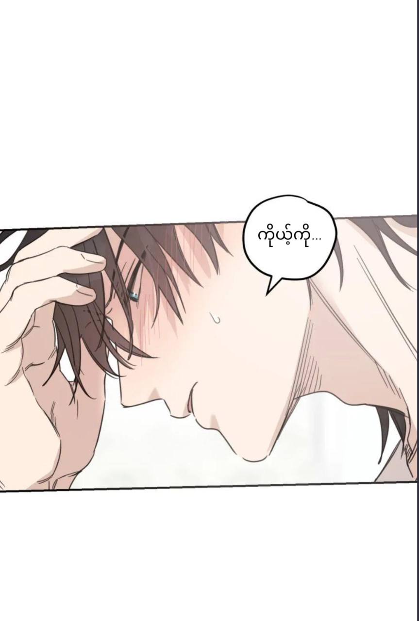 Chapter panel 51