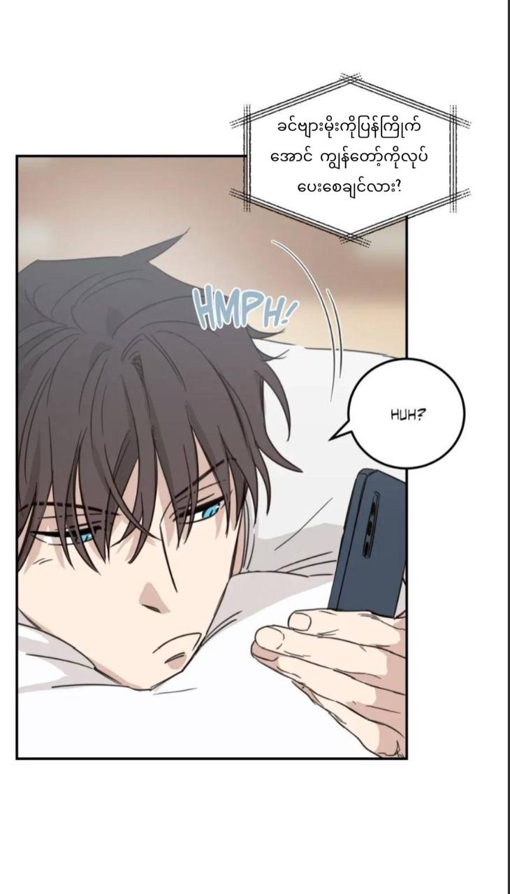 Chapter panel 42