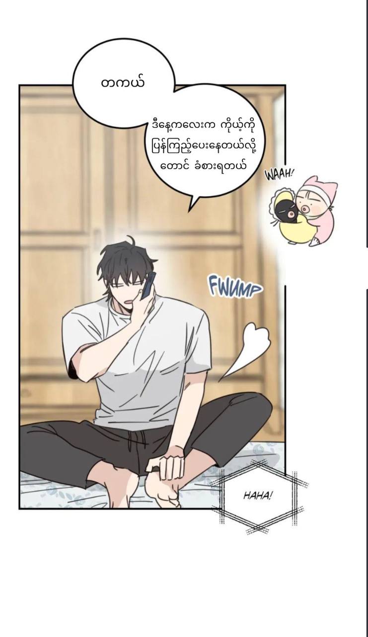 Chapter panel 24