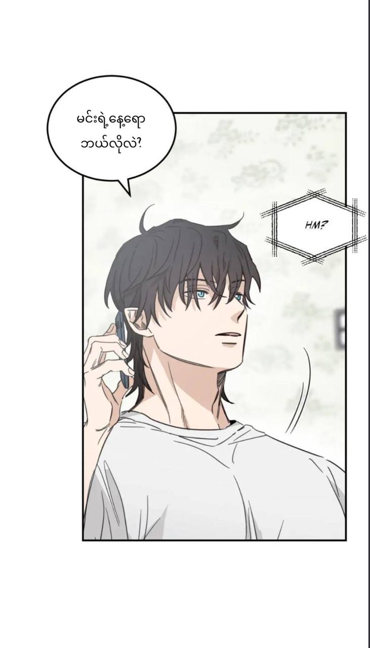 Chapter panel 25