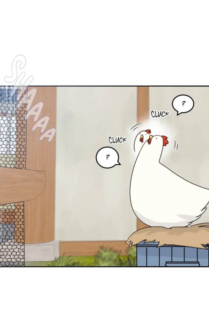 Chapter panel 3