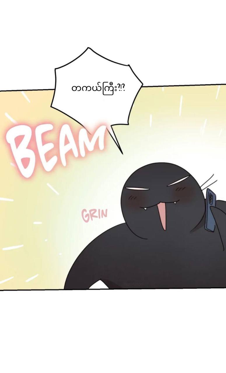 Chapter panel 12
