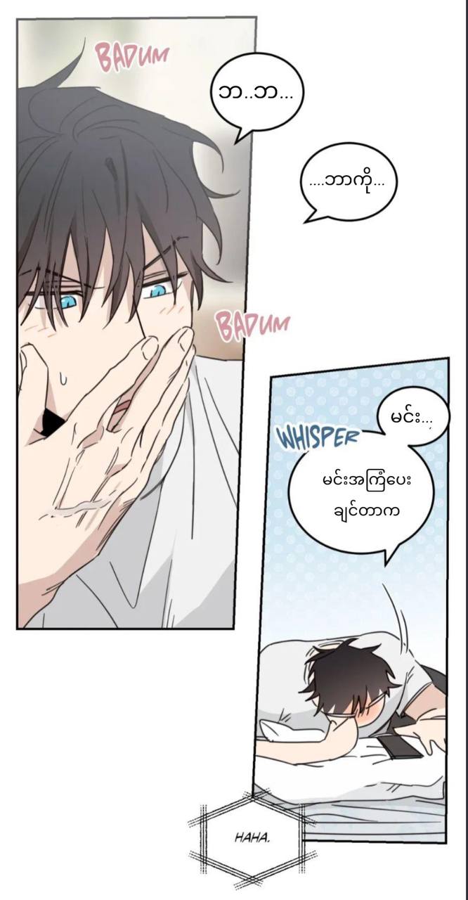 Chapter panel 44
