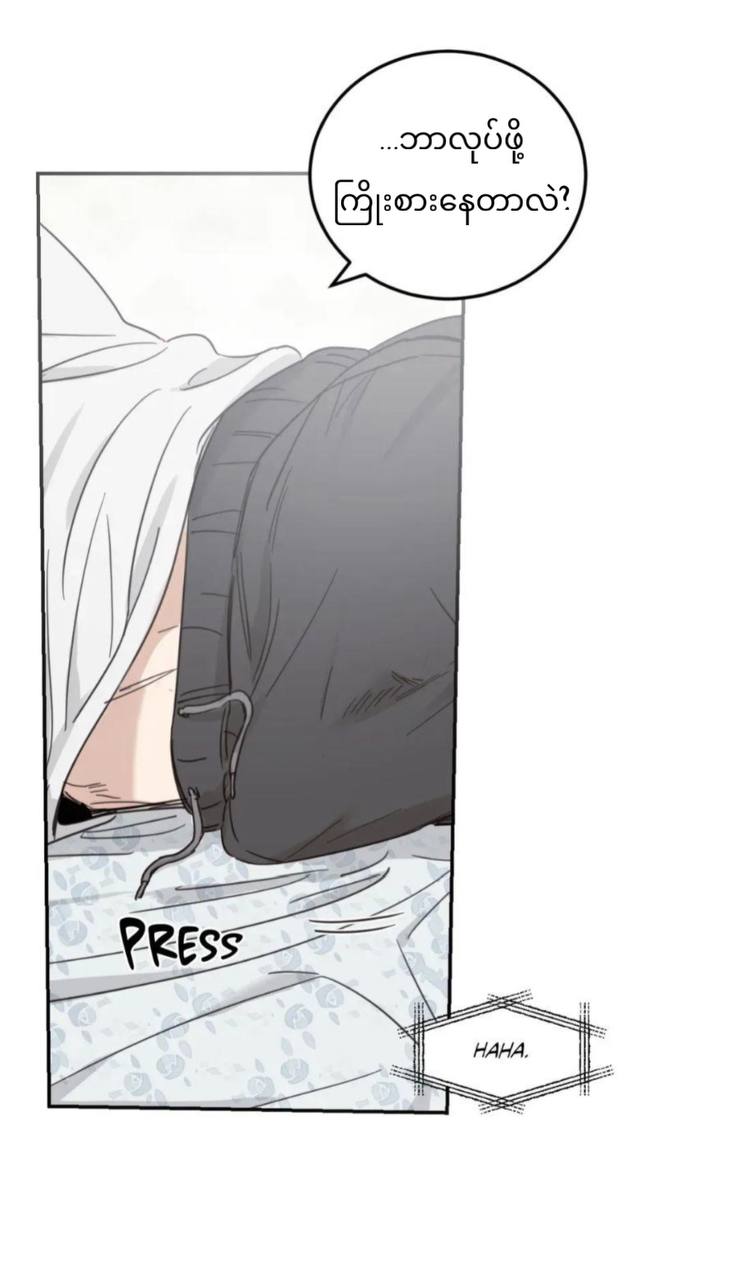 Chapter panel 52