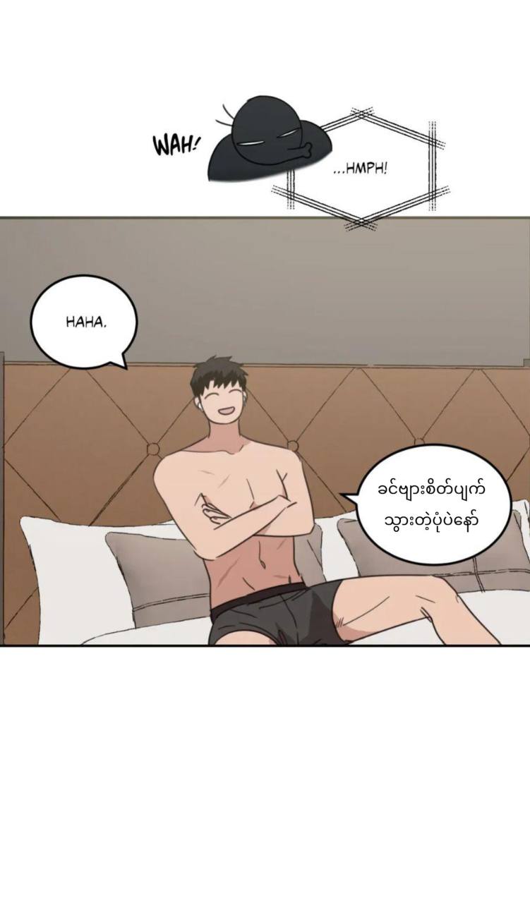 Chapter panel 29