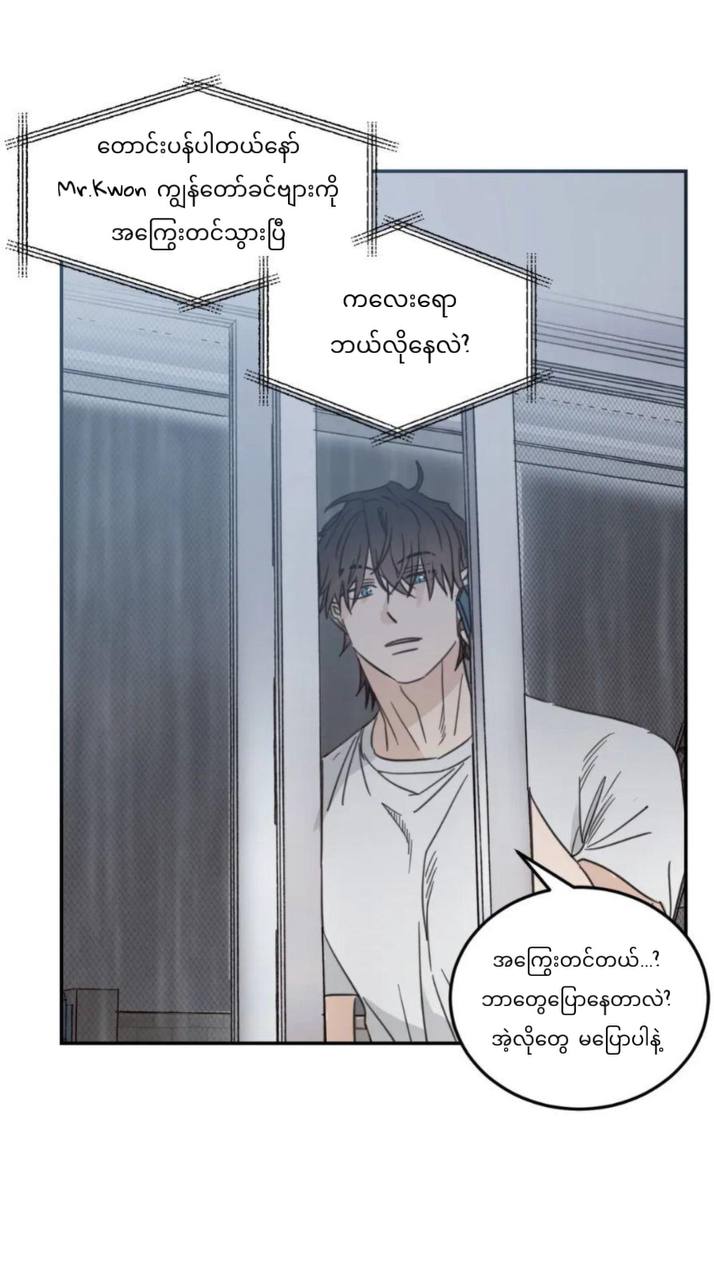 Chapter panel 8