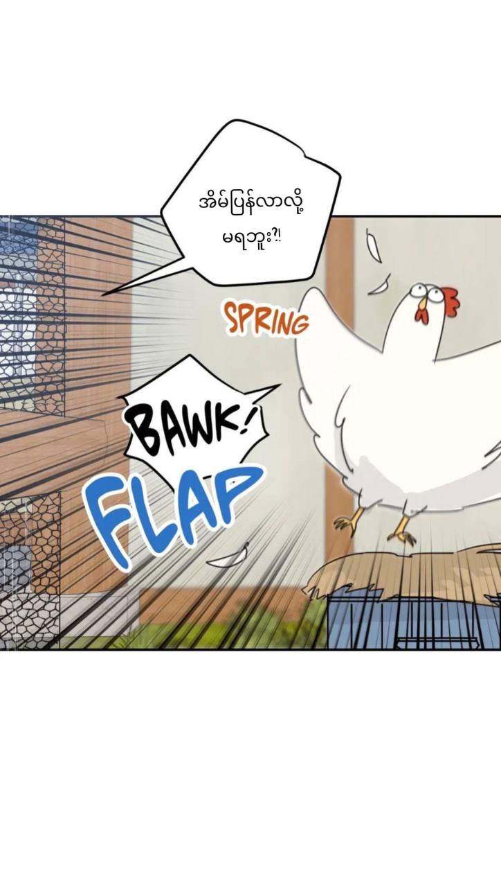Chapter panel 4