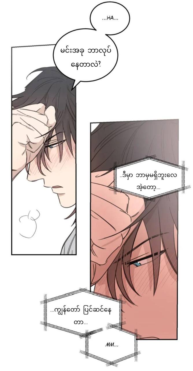 Chapter panel 54
