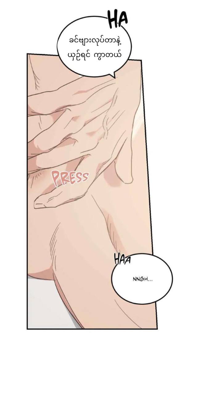 Chapter panel 13