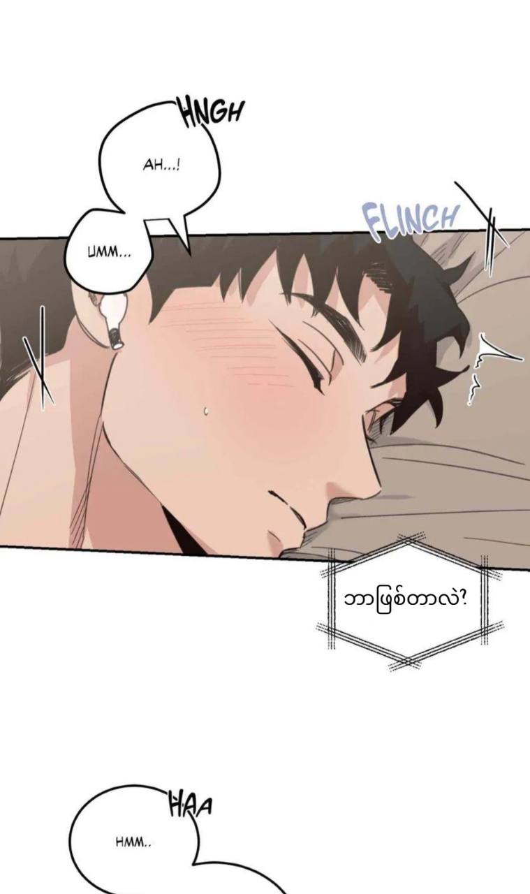 Chapter panel 11