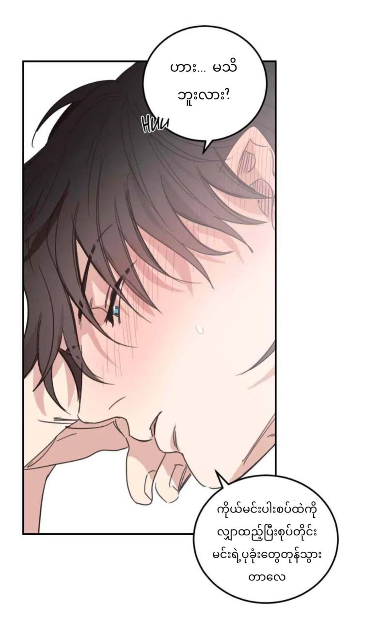 Chapter panel 7