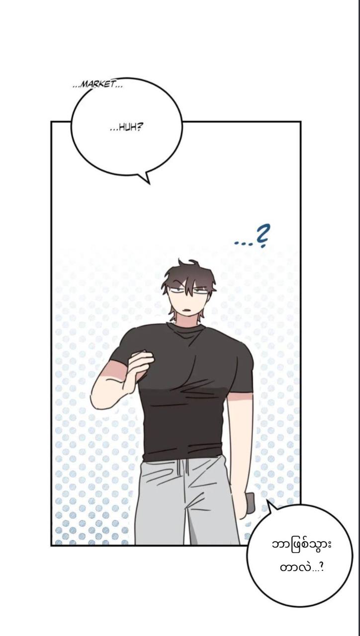 Chapter panel 24