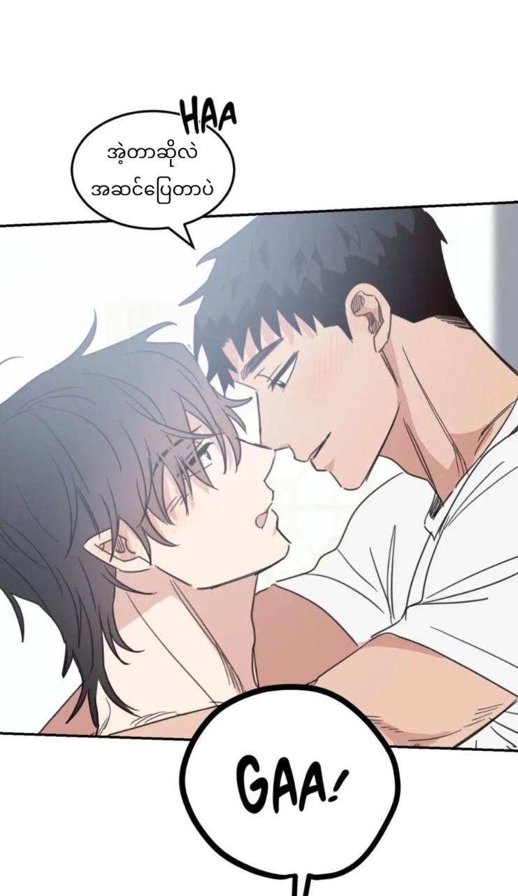 Chapter panel 54