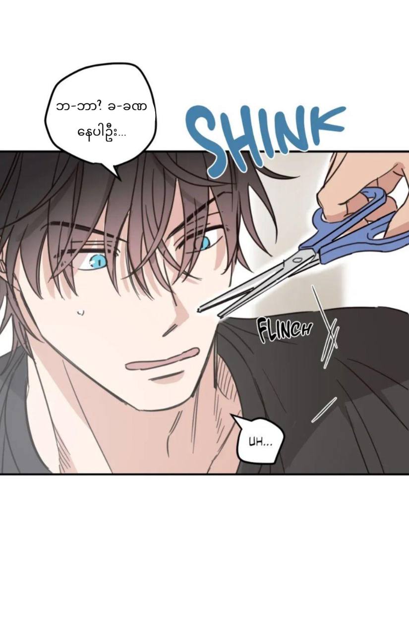 Chapter panel 46