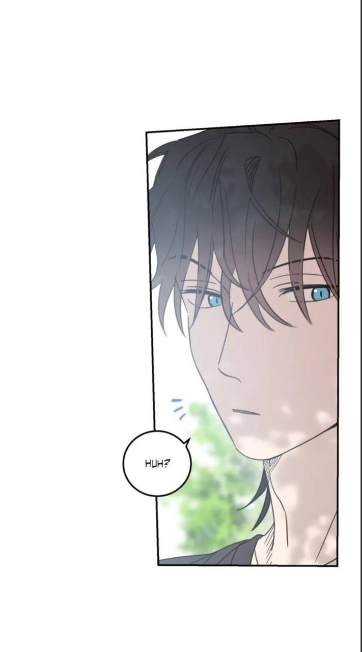Chapter panel 19