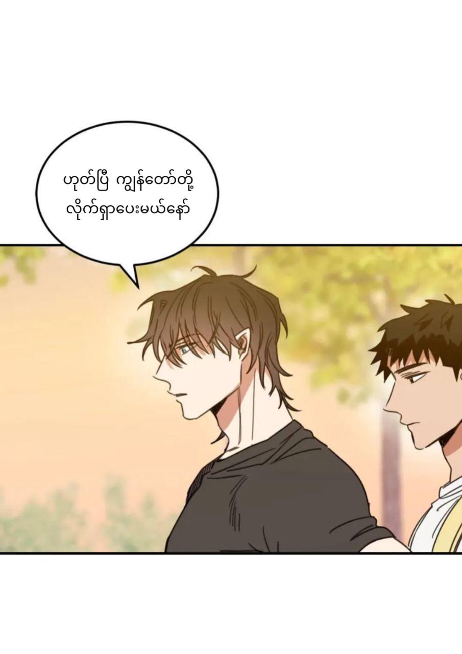Chapter panel 20