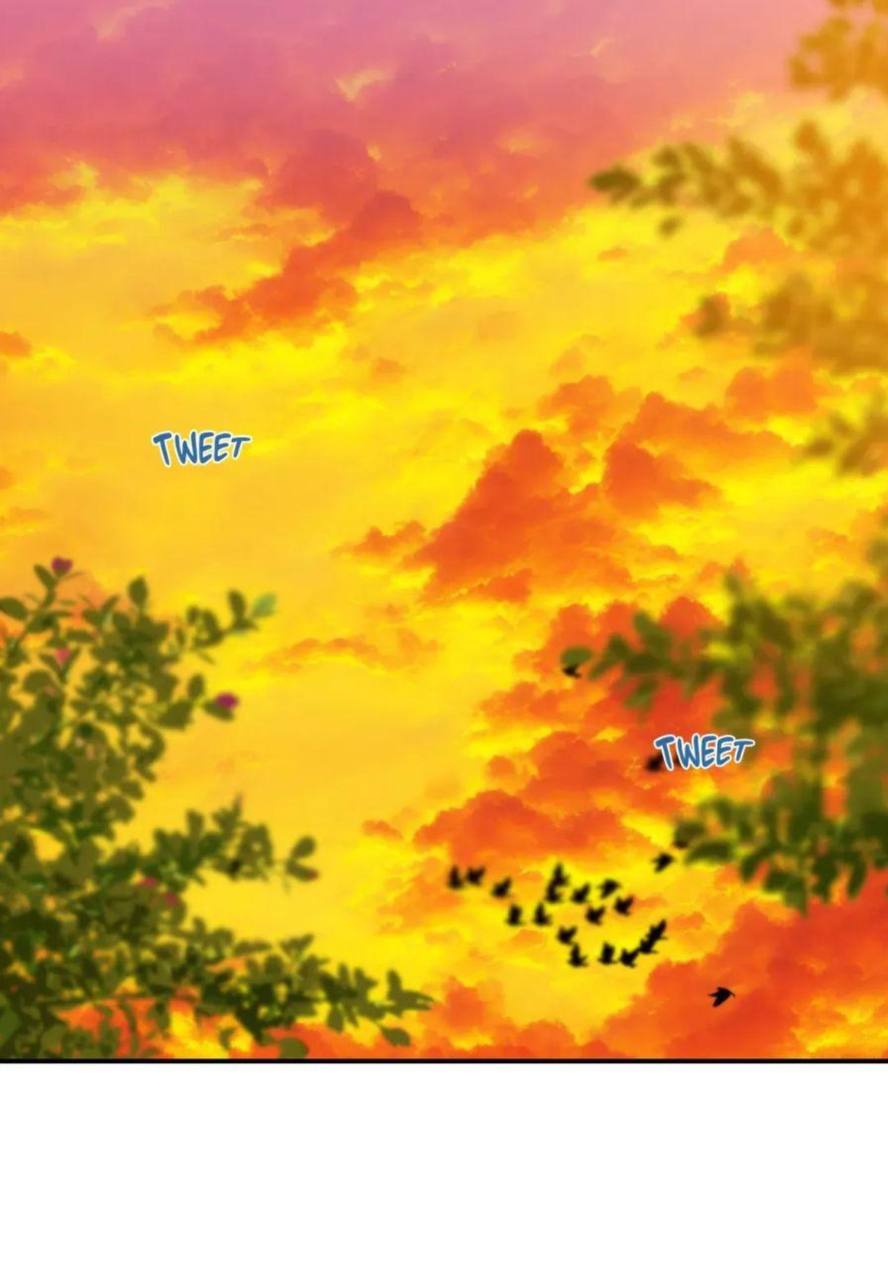 Chapter panel 16