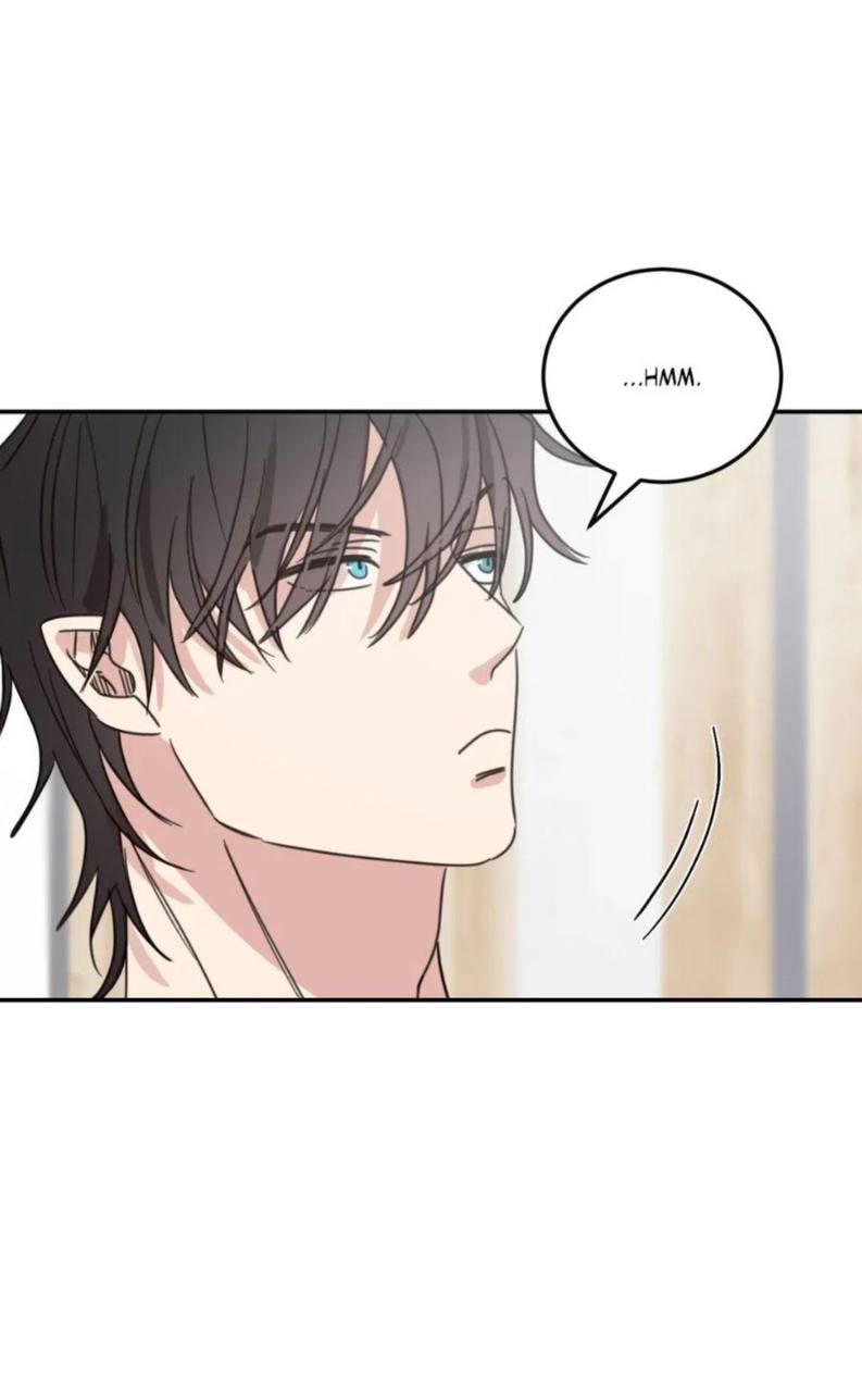 Chapter panel 14