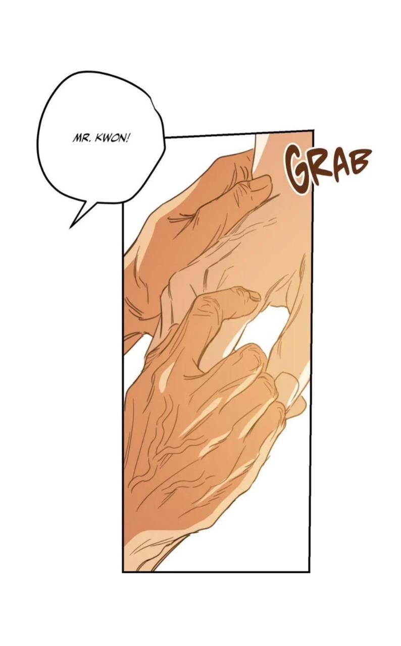 Chapter panel 23