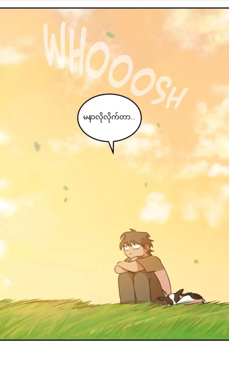 Chapter panel 37