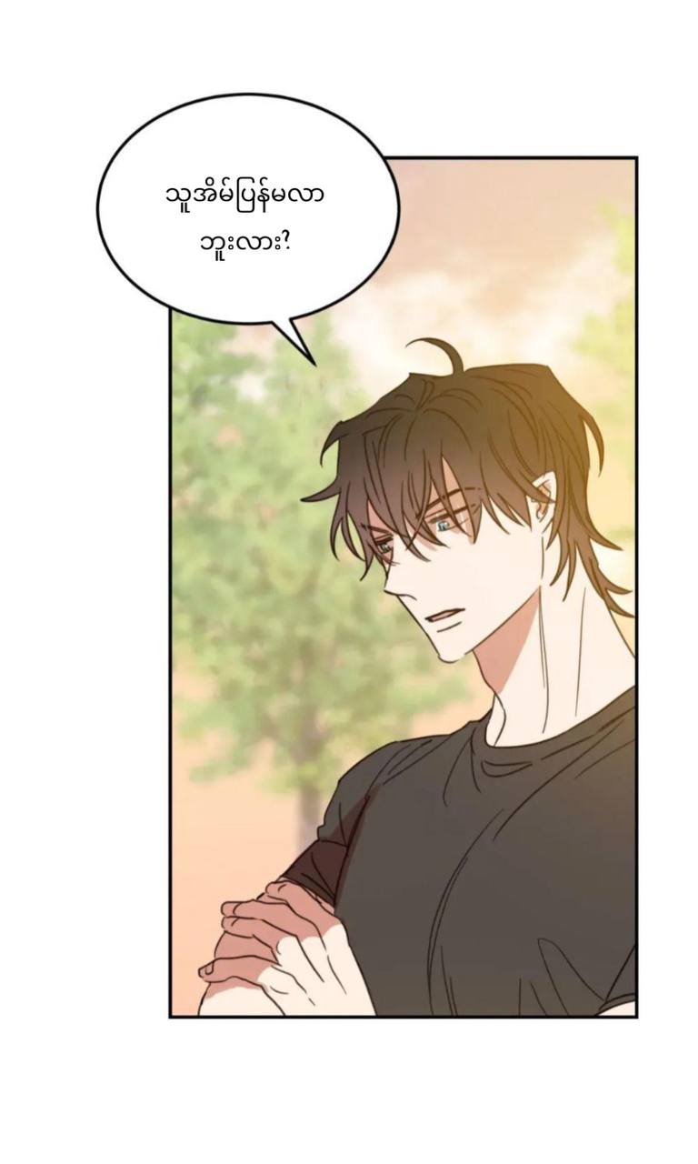 Chapter panel 17