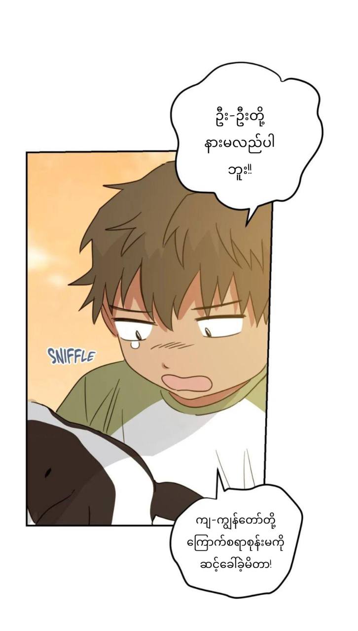 Chapter panel 50