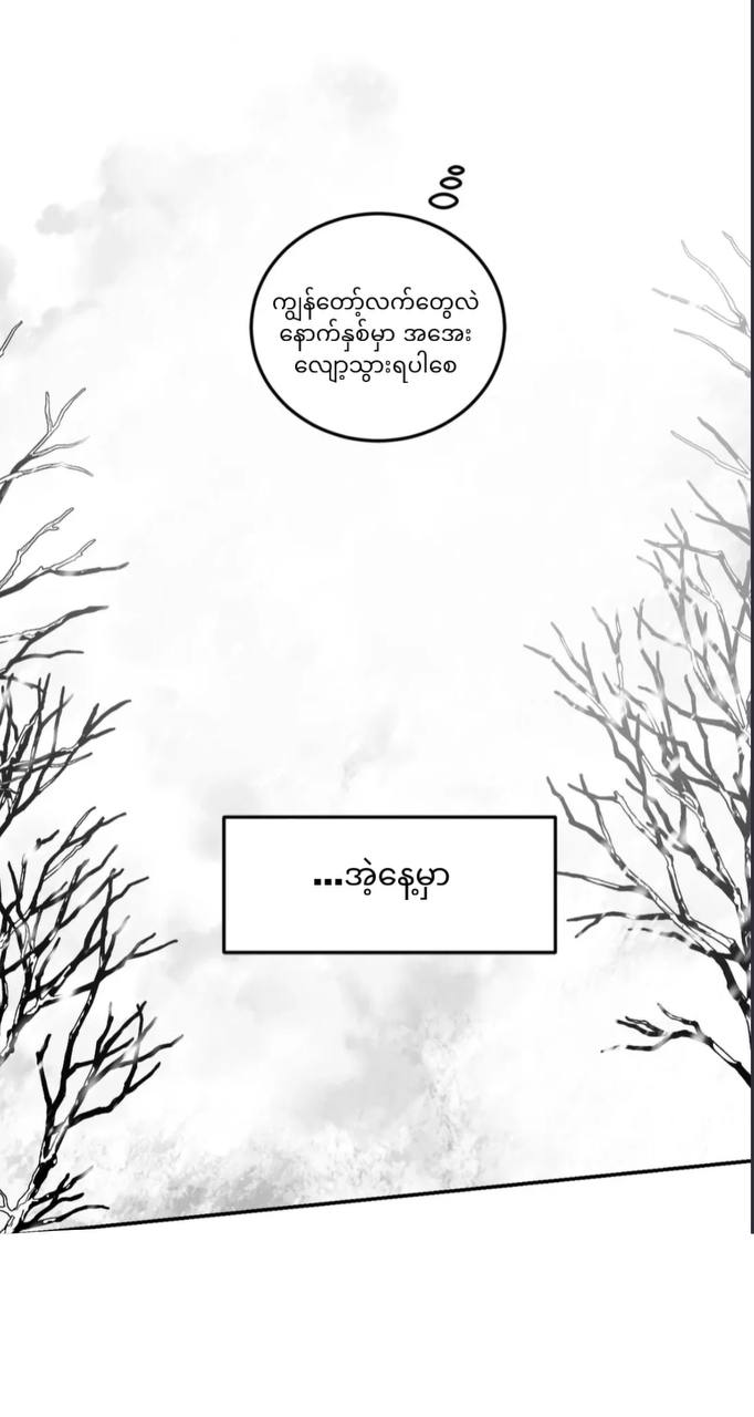 Chapter panel 15