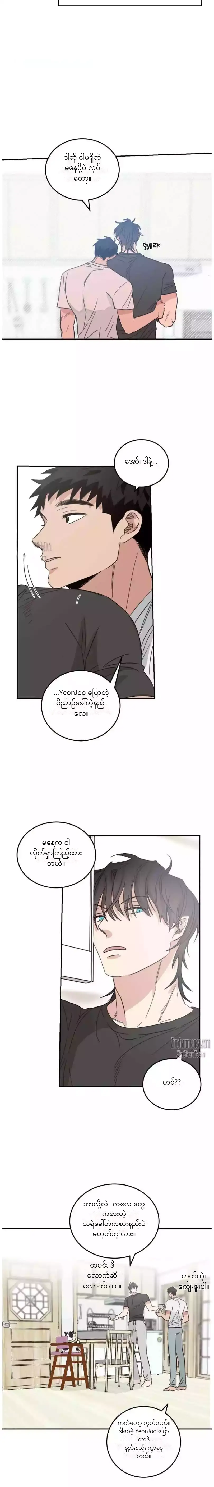 Chapter panel 15