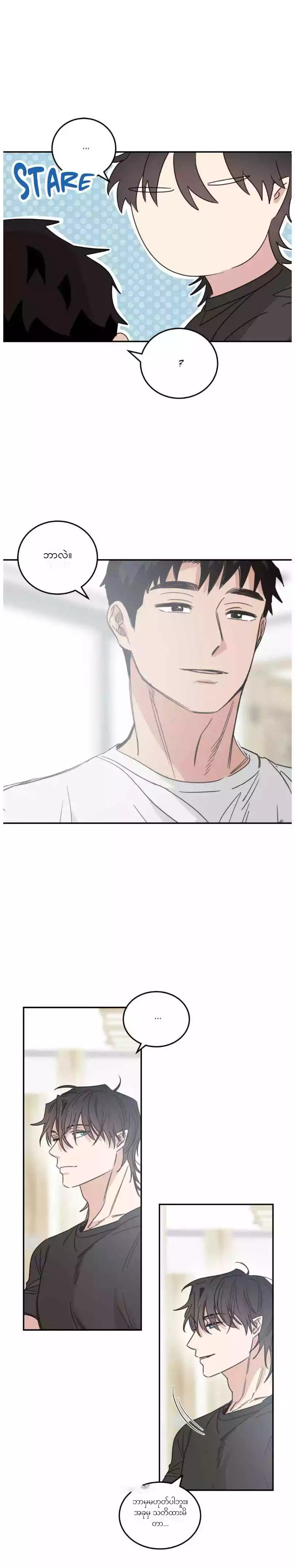 Chapter panel 13