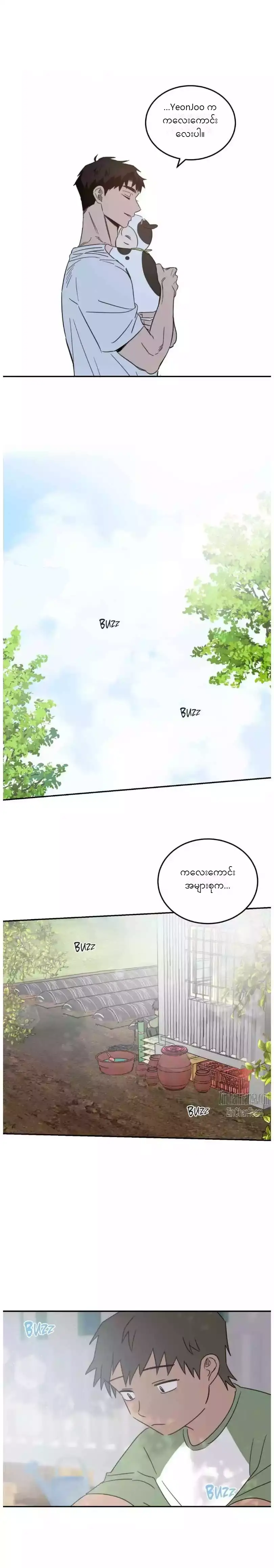 Chapter panel 17