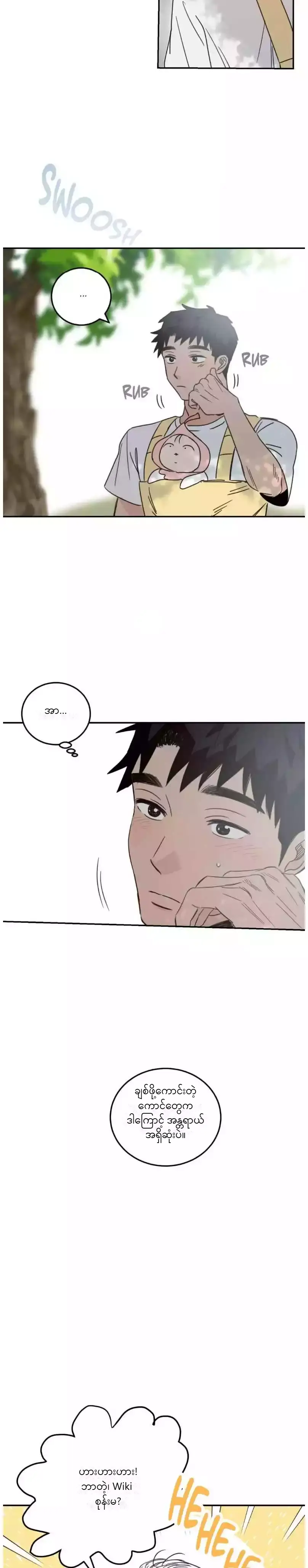 Chapter panel 15
