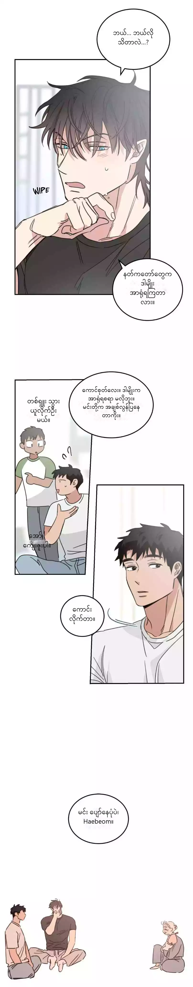Chapter panel 19